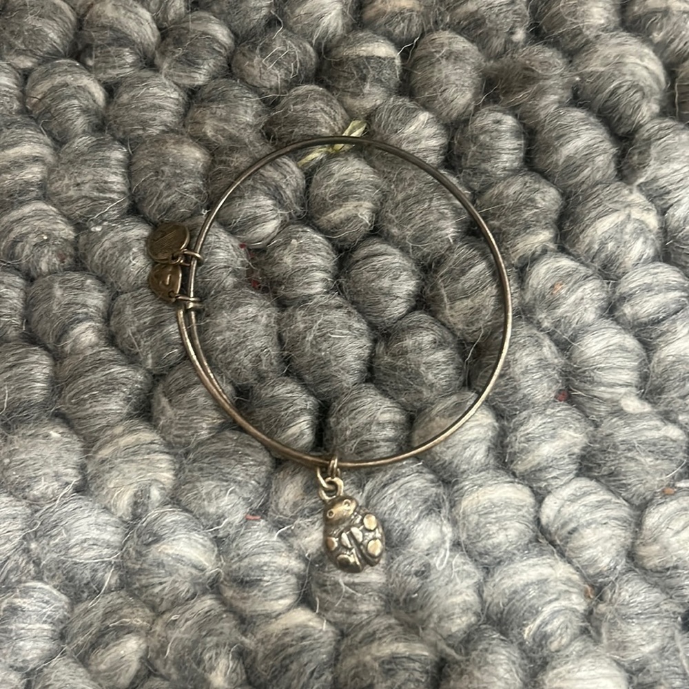 Alex and Ani
Women's Lady Bug Charm Bangle‎ Bracelet